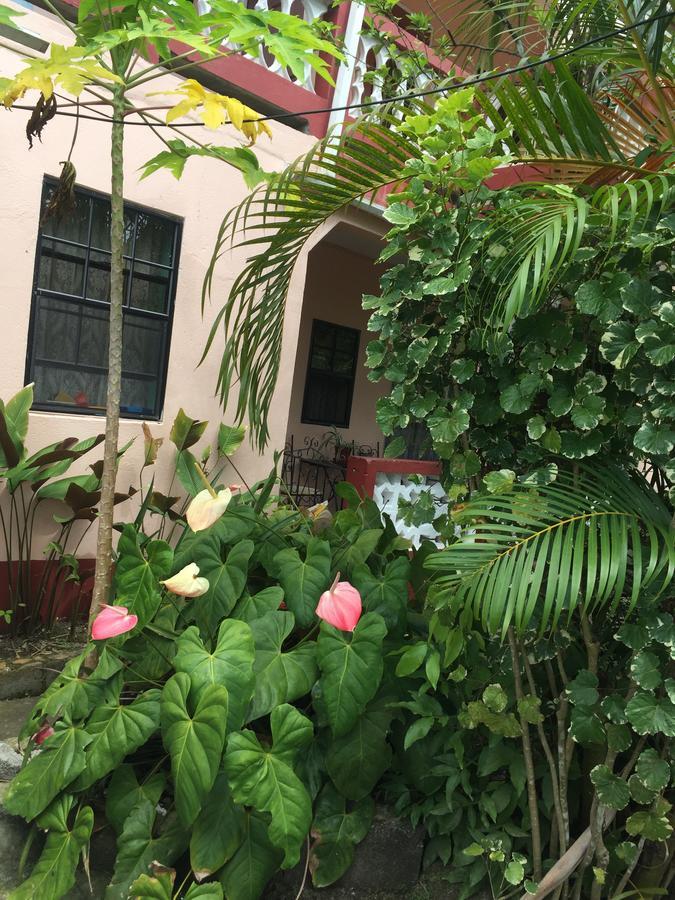 Anne's Homestay Banse Luaran gambar